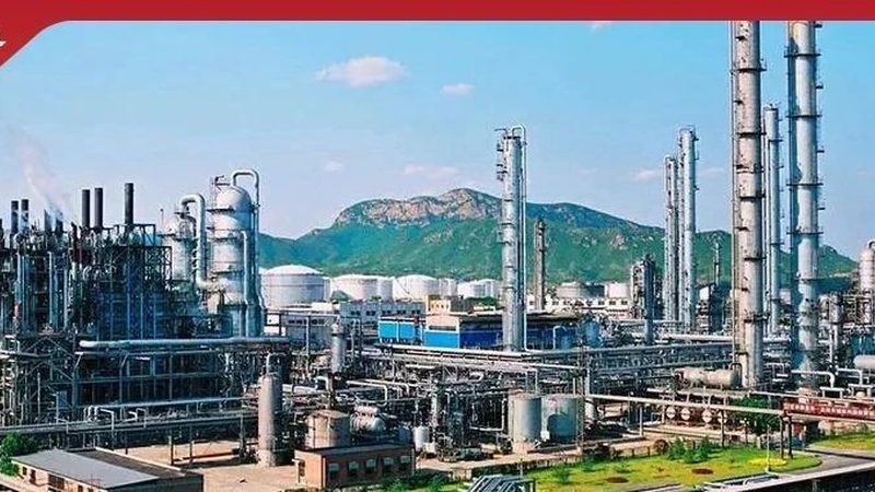 固含量50%有机硅灌封胶：如何精准选型**